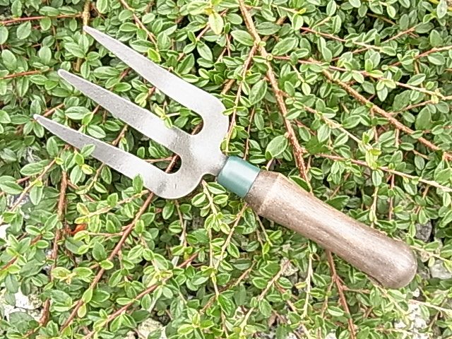 hand-fork-e1-jpg