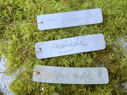 plantlabelb1-jpg